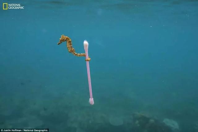 《國家地理》聚焦 “塑料星球”,人類之殤！