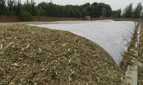 關注丨珠穆朗瑪峰成了一座“垃圾峰”？