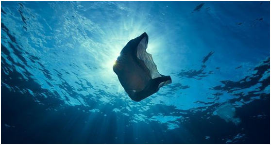 恒譽環(huán)保：引領“塑料回收”新時代，助力解決塑料污染