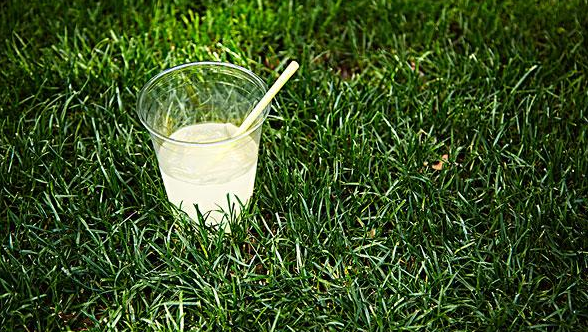 恒譽環(huán)保：引領“塑料回收”新時代，助力解決塑料污染